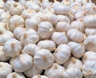 Healthy and Natural Fresh Garlic