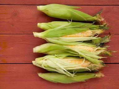 Organic Healthy And Natural Whole Yellow Corn