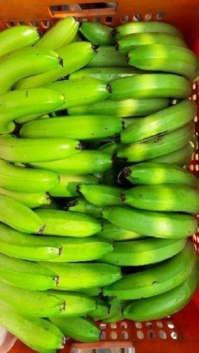 Farm Fresh Green Banana