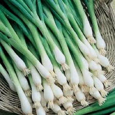 Farm Fresh Green Onion