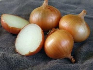 Fresh Yellow Onion For Cooking Preserving Compound: Cool & Dry Places