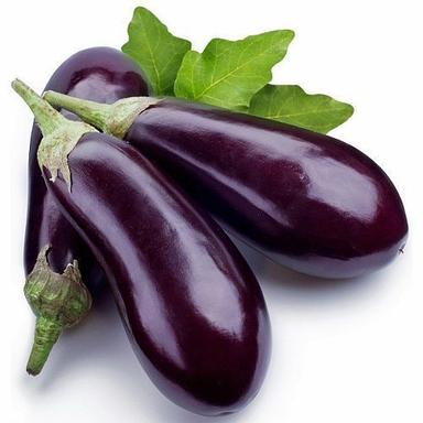 Healthy And Natural Fresh Brinjal