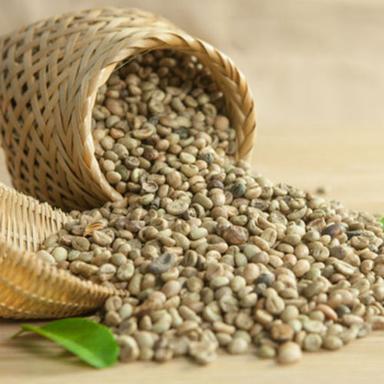Organic Arabica Coffee Parchment Green Beans (Grade A)
