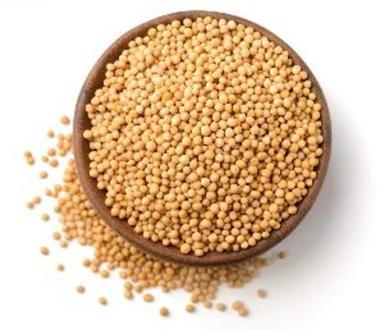 Organic Yellow Mustard Seeds For Cooking