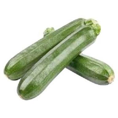 Fresh Green Zucchini For Cooking Preserving Compound: Cool & Dry Places