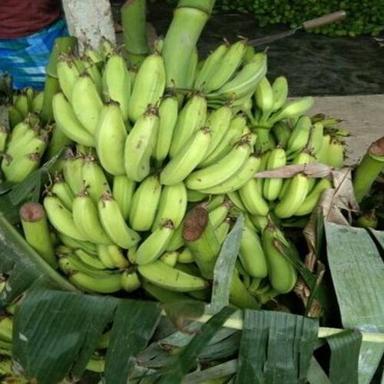 Organic Healthy And Natural Fresh Green Banana