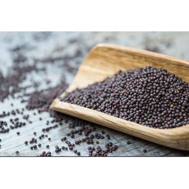 Black Color Mustard Seeds Grade: Premium