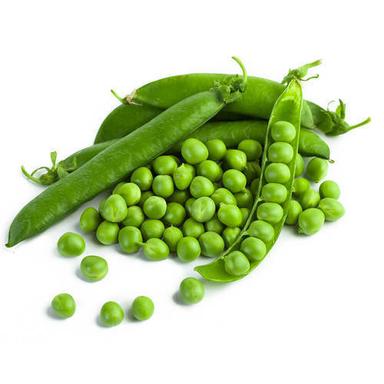 Healthy And Natural Fresh Green Peas Shelf Life: 5-7 Days