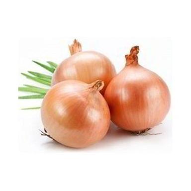 Round Healthy And Natural Yellow Onion
