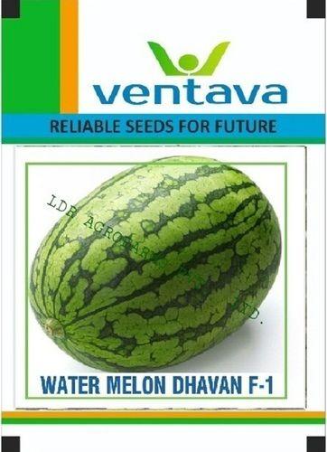Hybrid Watermelon Dhavan F-1 Seed