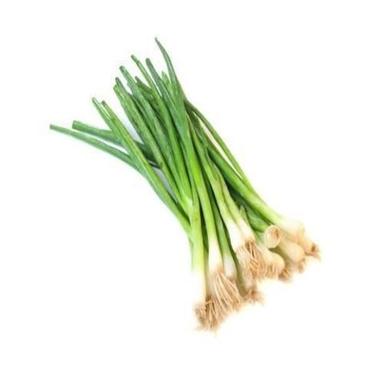 Healthy And Natural Fresh Green Onion Shelf Life: 15 Days