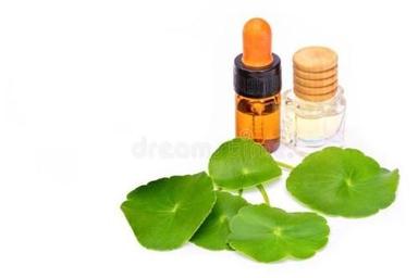 Green Pure Organic Ayurvedic Centella Asiatica Essential Oil