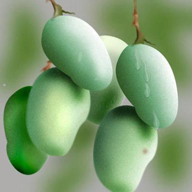 Rich Aroma Green Mango