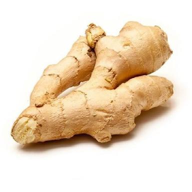 Healthy And Natural Fresh Ginger Shelf Life: 1 Week