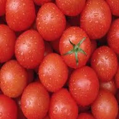 Round Healthy And Natural Fresh Tomato