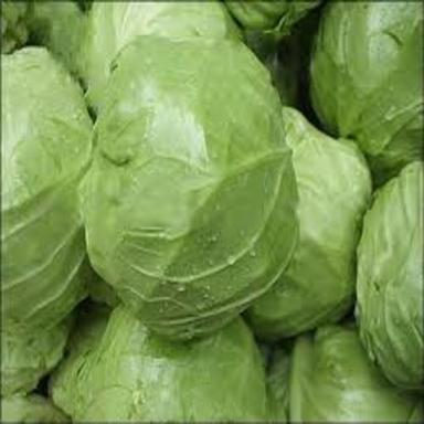 Round Healthy And Natural Fresh Cabbage