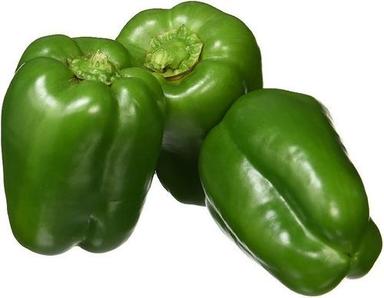 Healthy And Natural Fresh Green Capsicum Shelf Life: 3-5 Days