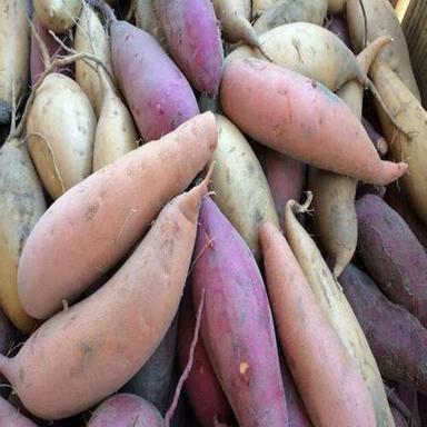 Healthy And Natural Fresh Sweet Potato Shelf Life: 1-3 Months