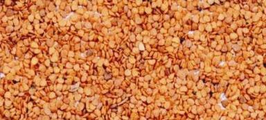 Ashwgandha Medicinal Plant Seed Purity: 99.9%