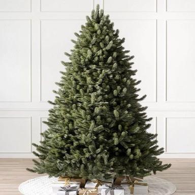 Green Vermont White Spruce Christmas Tree