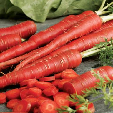 Black Healthy And Natural Fresh Red Carrot