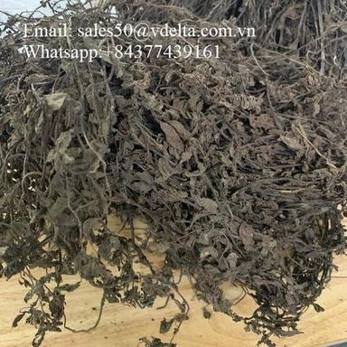 Dried Black Grass Jelly Shelf Life: 24 Months