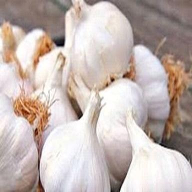 Healthy and Natural Fresh Garlic