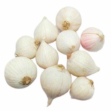 Bulb 100% Natural Fresh Solo Garlic With Mild And Sweet Flavor