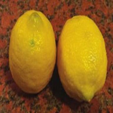 Round Healthy And Natural Fresh Lemon