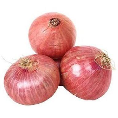 Round Healthy And Natural Fresh Natural Onion