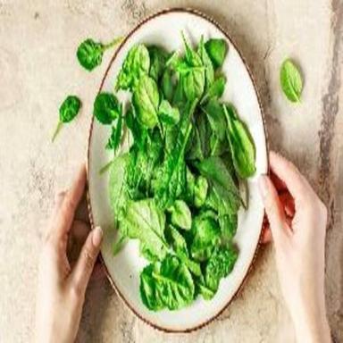 Healthy And Natural Fresh Spinach Shelf Life: 1-3 Days