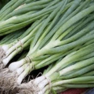 Healthy And Natural Fresh Green Onion Shelf Life: 1 Minutes