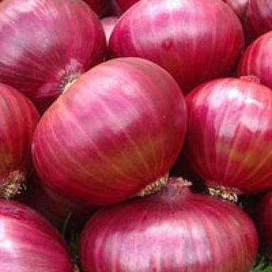 Round Healthy And Natural Fresh Red Onion