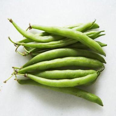 जैविक स्वस्थ और प्राकृतिक ताजा हरी बीन्स