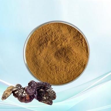 Herbs Powder Ganoderma Lucidum Polysaccharide
