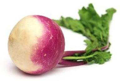 Round Fresh Turnip (Fresh Vegetables)