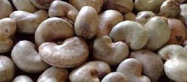 Brown Spicewell Raw Cashew Nuts