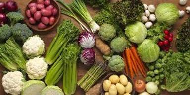 Organic Fresh Vegetables With 100% Maturity Shelf Life: 7-10 Days