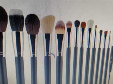 Brown All Size Cosmetic Brush Set