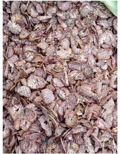 Organic Brown Betel Nut Origin: India