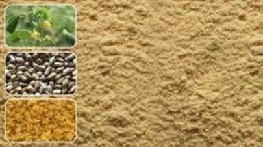 Premium Cassia Gum Powder Application: Food