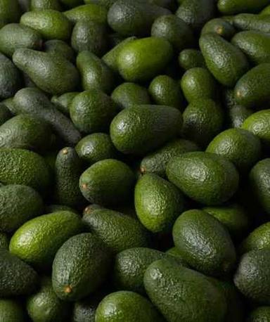 Fresh Green Avacado Fruit Size: Natural