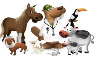 Liquid Animal Ayurvedic Veterinary Medicine