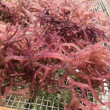 Dried Purple Sea Moss Shelf Life: 12 Months