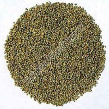 Organic Pearl Millet Seeds Purity: 100