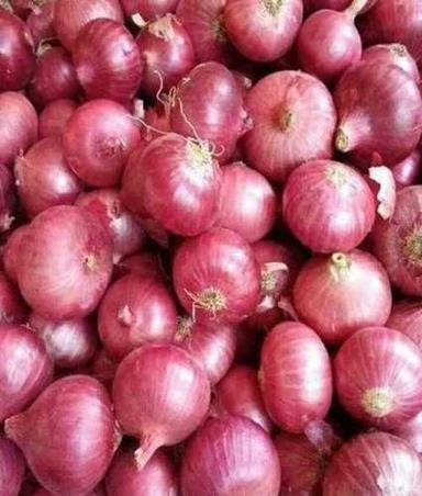 Export Quality Fresh Red Onion