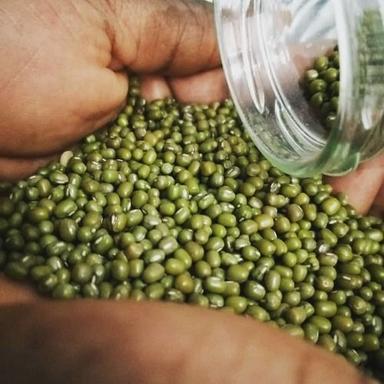 Green Mung Bean Admixture (%): Max 0.5