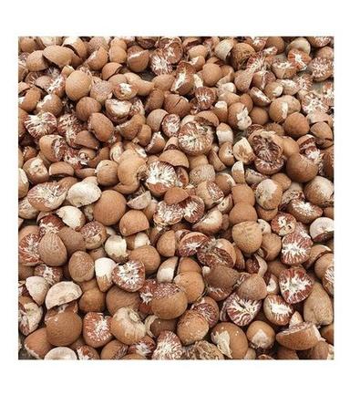 Brown Indonesia Dried Whole Betel Nuts