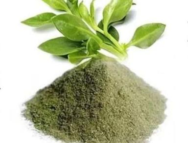 Herbal Product Organic Andrographis Paniculata Kalmegh Extract Powder