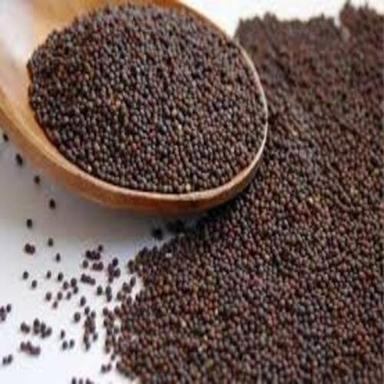 Black Healthy And Natural Mustard Seeds